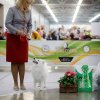 Всемирная выставка собак мемориал  А.П. Мазовера