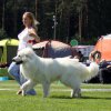 International Dog Show Mikkeli